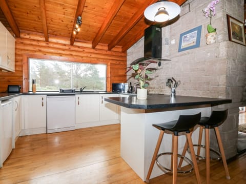 Fridge, dishwasher, electric kettle, toaster