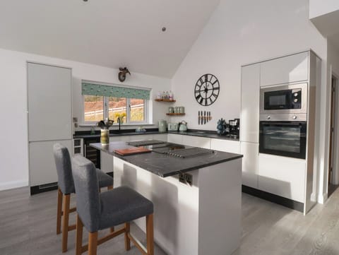 Cottage | Private kitchen | Fridge, dishwasher, electric kettle, toaster