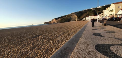Beach/ocean view