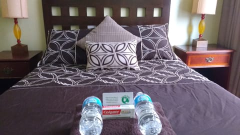 Double Room (Private) | Blackout drapes, iron/ironing board, free WiFi