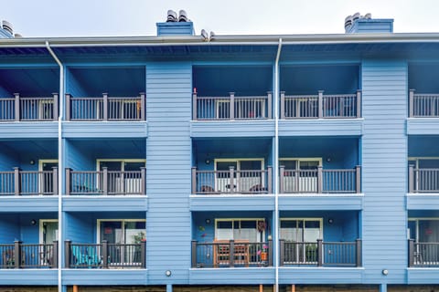 Apartment (1 Bedroom) | Interior