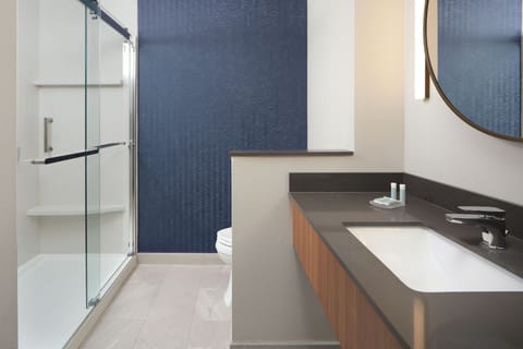 Rainfall showerhead, hair dryer, towels, soap