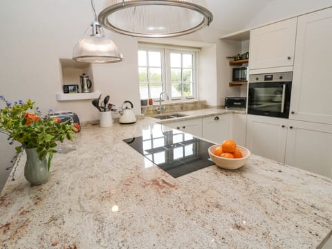 Fridge, dishwasher, electric kettle, toaster