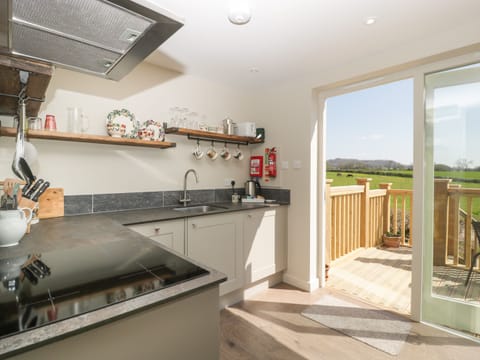 Fridge, dishwasher, electric kettle, toaster