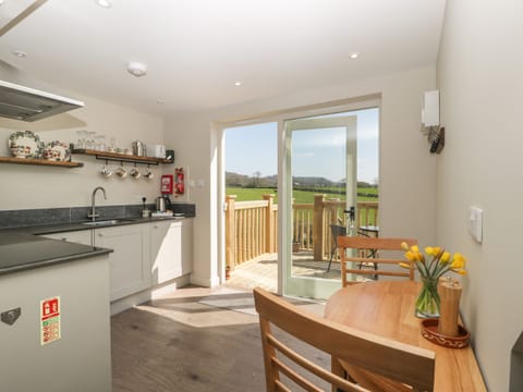 Fridge, dishwasher, electric kettle, toaster