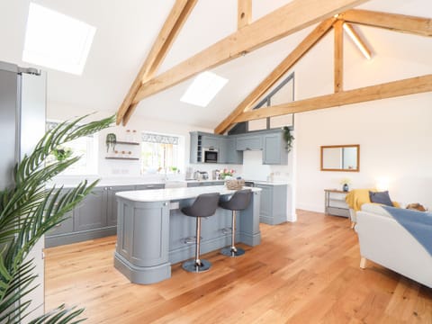 Fridge, dishwasher, electric kettle, toaster