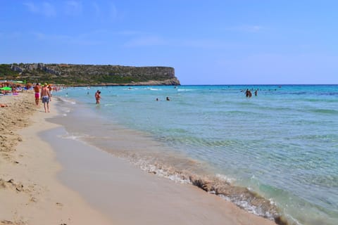 Scuba diving, windsurfing, surfing, sailing