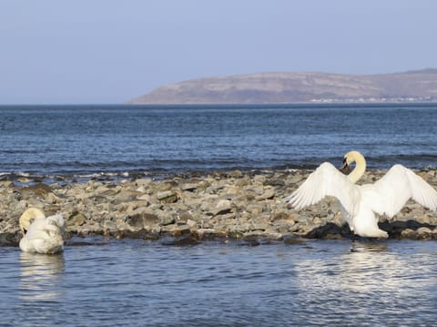Cottage | Property grounds