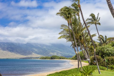 Condo, 1 Bedroom | Beach | On the beach