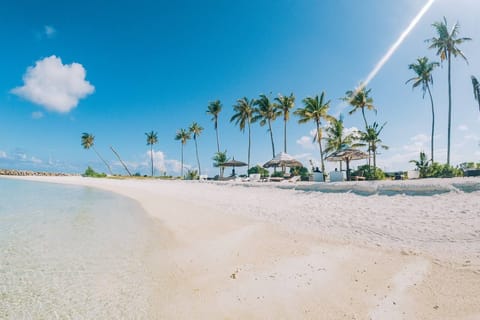 Beach shuttle, sun loungers, beach towels