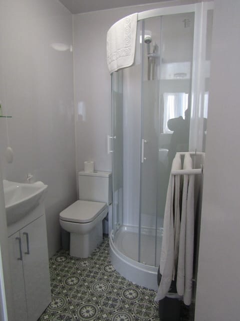 Deluxe Double Room | Bathroom | Shower, free toiletries, hair dryer, towels