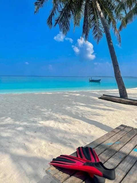 On the beach, white sand, sun loungers, beach umbrellas