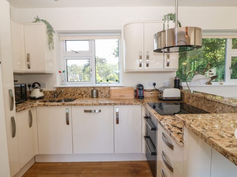 Fridge, dishwasher, electric kettle, toaster