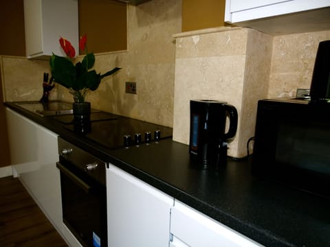Apartment | Private kitchen | Fridge, microwave, oven, stovetop