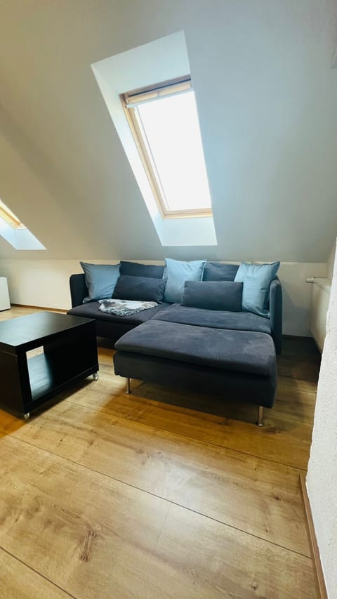 40-cm TV with satellite channels