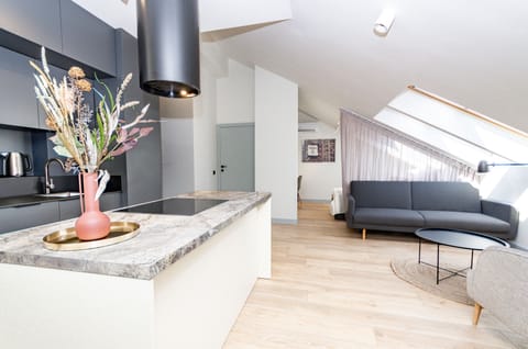 City Studio Suite | Private kitchen | Full-size fridge, oven, stovetop, dishwasher