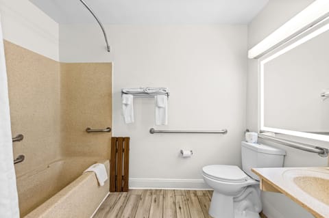 Room, 1 King Bed, Accessible, Non Smoking | Bathroom | Combined shower/tub, free toiletries, towels, soap