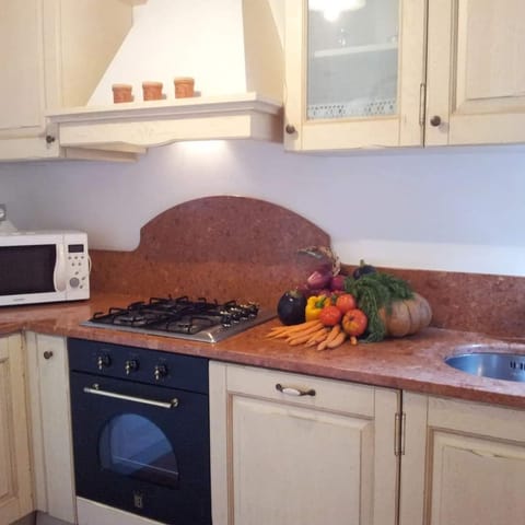 Condo, Sea View | Private kitchen