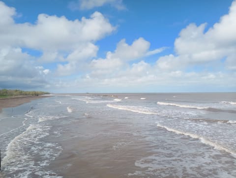 Private beach, free beach shuttle