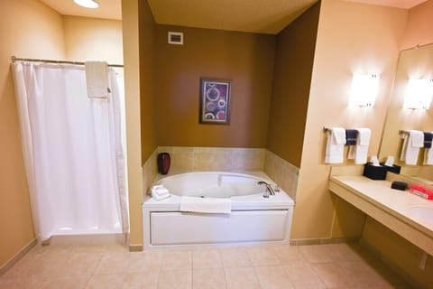 Family Suite, Jetted Tub | Bathroom | Free toiletries, hair dryer, towels, soap