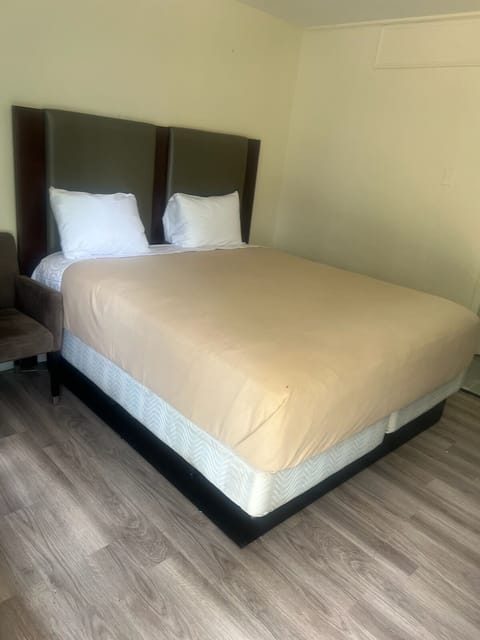 Comfort Single Room | Desk, blackout drapes, iron/ironing board, free WiFi