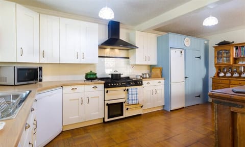 Fridge, dishwasher, cookware/dishes/utensils