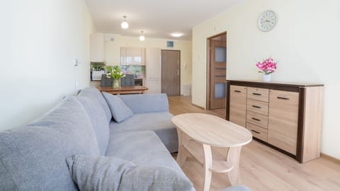 Apartment (33) | Living area | 30-inch flat-screen TV with cable channels, TV