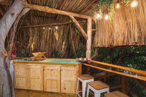 Romantic Tree House | Private kitchen | Fridge, microwave, stovetop, coffee/tea maker