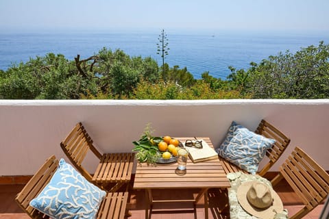 Apartment (2 Bedrooms) | Balcony