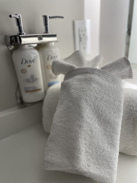 Free toiletries, hair dryer, towels, soap