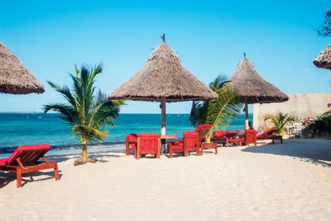 On the beach, white sand, beach bar