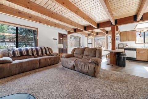 Basic Cabin | Living area | DVD player