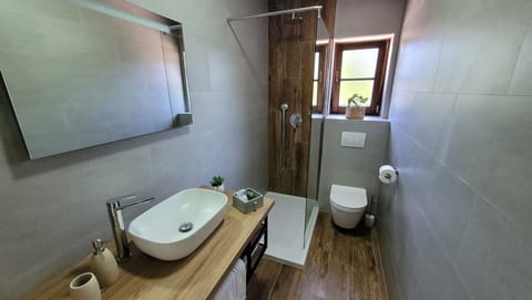 Standard Room | Bathroom | Shower, rainfall showerhead, hair dryer, towels