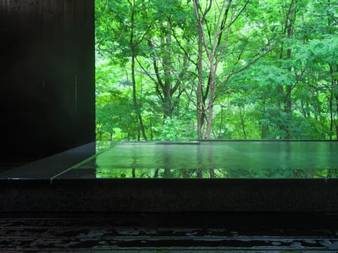 Luxury Suite 101, meals delivered to guest room's private door (Self-service), Non Smoking | Bathroom | Separate tub and shower, spring water tub, hair dryer, slippers