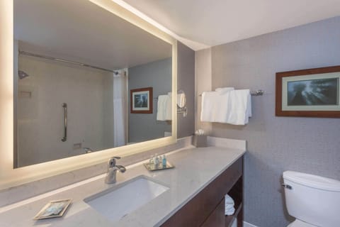 Combined shower/tub, eco-friendly toiletries, hair dryer, towels