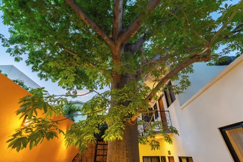 Deluxe Room, 1 Queen Bed | Terrace/patio