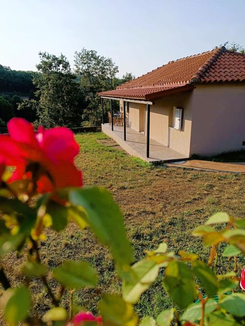 House | 1 bedroom