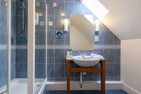 Classic Room | Bathroom shower