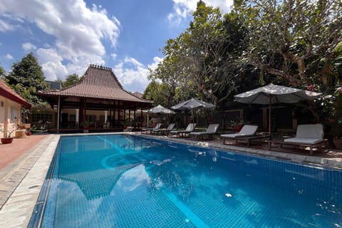 Outdoor pool, pool umbrellas, sun loungers