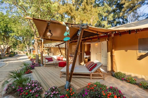 Family Tent | Terrace/patio
