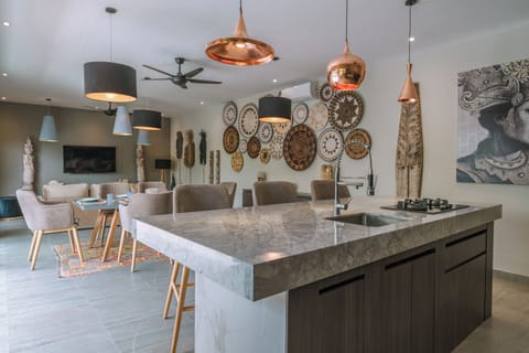 Luxury Villa | Private kitchen | Fridge, microwave, oven, stovetop