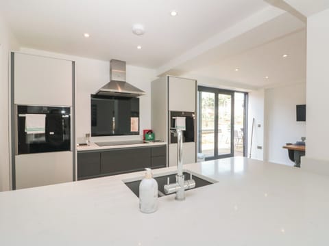 Fridge, dishwasher, electric kettle, toaster