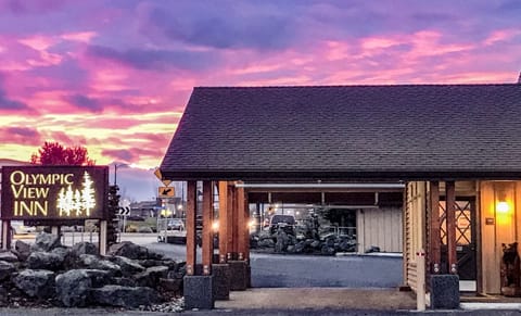 39-inch flat-screen TV with satellite channels, TV