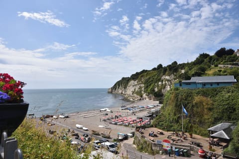 Cottage | Aerial view