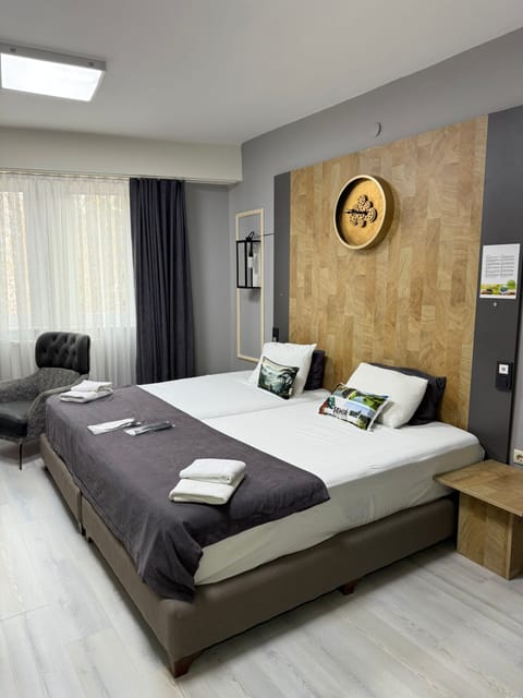 Elite Room, 1 King Bed | Egyptian cotton sheets, premium bedding, individually decorated