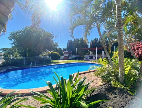 Outdoor pool, open 7:00 AM to 8:00 PM, pool umbrellas, sun loungers