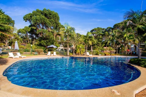 Outdoor pool, sun loungers