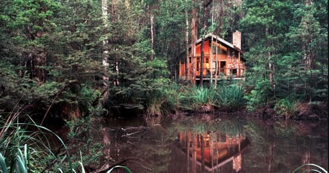Lake view