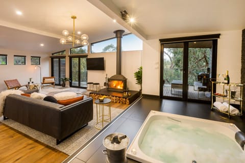 Plasma TV, fireplace, DVD player