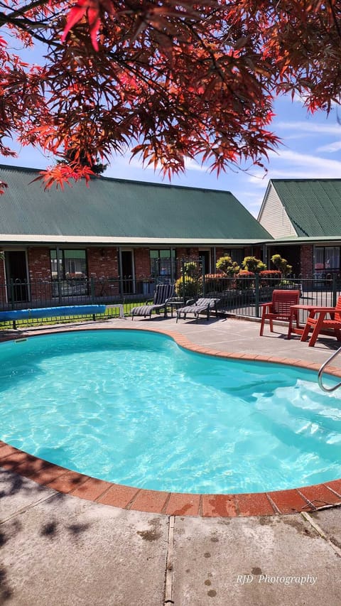 Seasonal outdoor pool, pool umbrellas, sun loungers